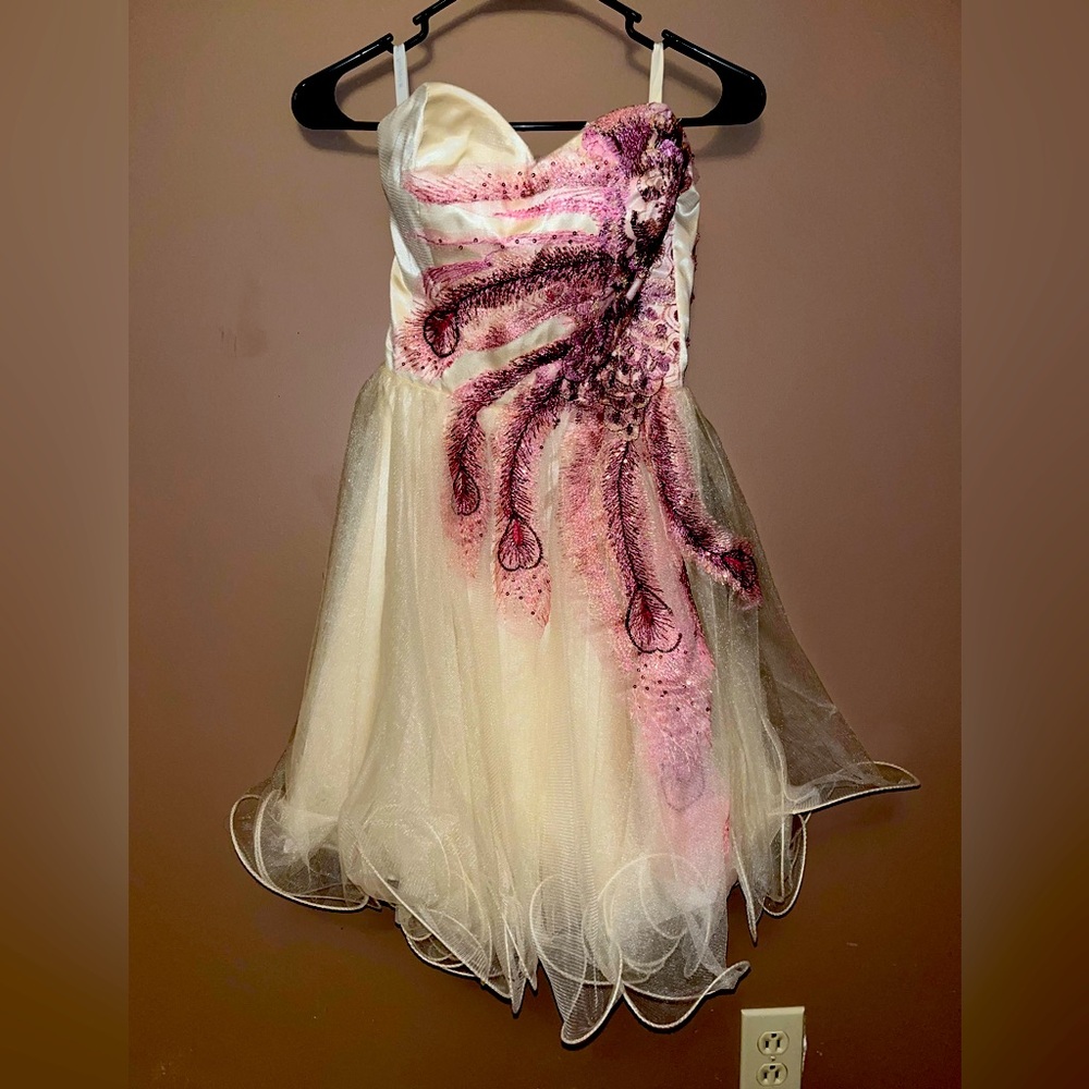 Prom/Banquet/Sweet 16 Dress